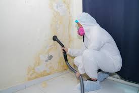 Best Mold Odor Removal Services in Reminderville, OH